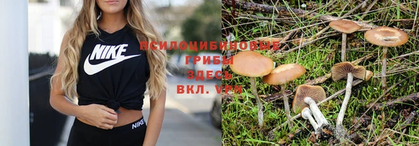 мескалин Абдулино