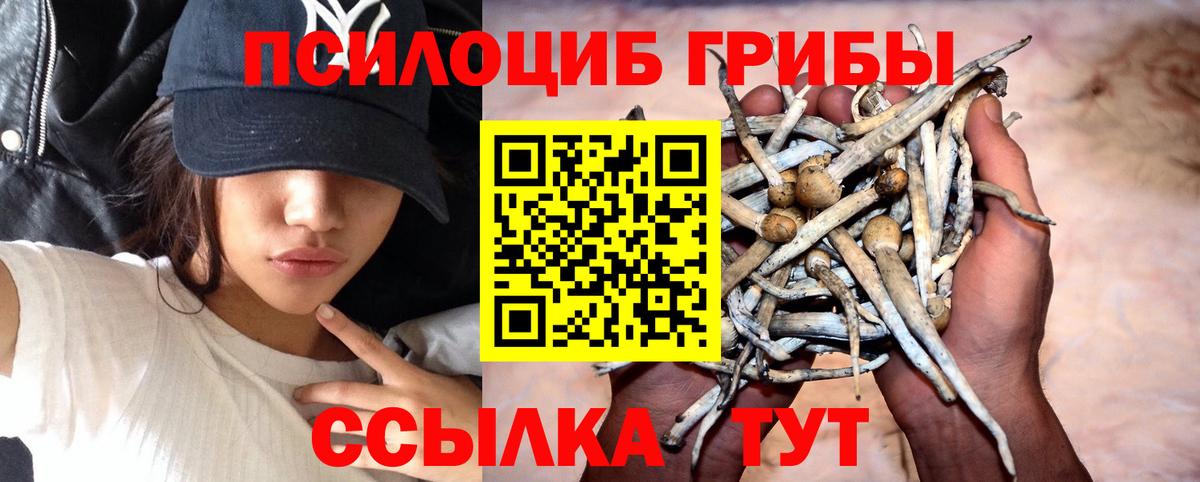 Галлюциногенные грибы Cubensis Североморск
