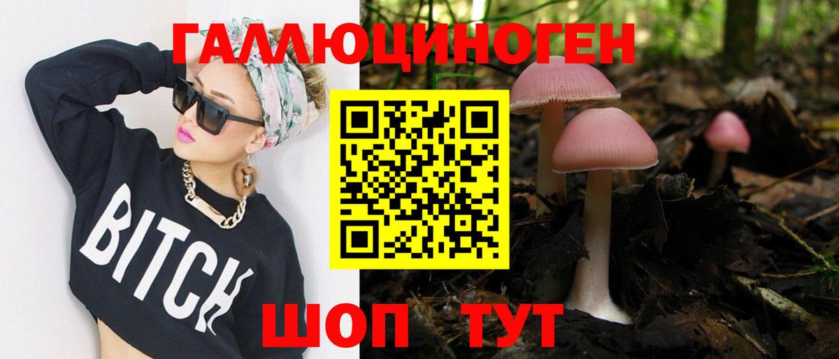 Североморск  Галлюциногенные грибы Psilocybe  Вход с VPN 