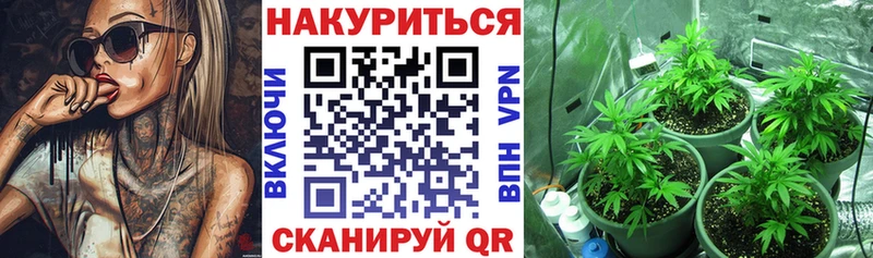 МАРИХУАНА планчик  Североморск 